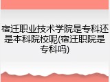 宿迁职业技术学院是专科还是本科院校呢(宿迁职院是专科吗)