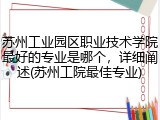 苏州工业园区职业技术学院最好的专业是哪个，详细阐述(苏州工院最佳专业)