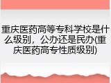 重庆医药高等专科学校是什么级别，公办还是民办(重庆医药高专性质级别)