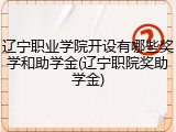 辽宁职业学院开设有哪些奖学和助学金(辽宁职院奖助学金)