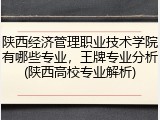陕西经济管理职业技术学院有哪些专业，王牌专业分析(陕西高校专业解析)