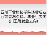 四川工业科技学院毕业后就业前景怎么样，毕业生去向(川工院就业去向)