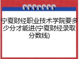 宁夏财经职业技术学院要多少分才能进(宁夏财经录取分数线)