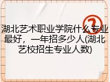 湖北艺术职业学院什么专业最好，一年招多少人(湖北艺校招生专业人数)