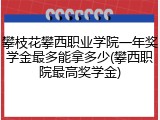 攀枝花攀西职业学院一年奖学金最多能拿多少(攀西职院最高奖学金)