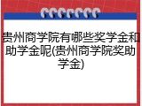 贵州商学院有哪些奖学金和助学金呢(贵州商学院奖助学金)
