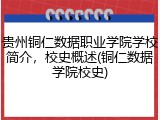 贵州铜仁数据职业学院学校简介，校史概述(铜仁数据学院校史)