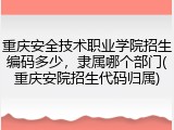 重庆安全技术职业学院招生编码多少，隶属哪个部门(重庆安院招生代码归属)