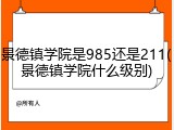景德镇学院是985还是211(景德镇学院什么级别)