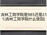 吉林工商学院是985还是211(吉林工商学院什么级别)