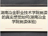 湖南冶金职业技术学院就读的真实感觉如何(湖南冶金学院就读体验)