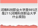 河南科技职业大学是985还是211(河南科技职业大学什么级别)