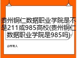贵州铜仁数据职业学院是不是211或985高校(贵州铜仁数据职业学院是985吗)