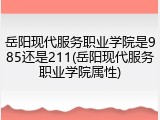 岳阳现代服务职业学院是985还是211(岳阳现代服务职业学院属性)