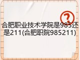 合肥职业技术学院是985还是211(合肥职院985211)