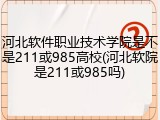 河北软件职业技术学院是不是211或985高校(河北软院是211或985吗)
