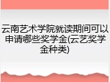 云南艺术学院就读期间可以申请哪些奖学金(云艺奖学金种类)