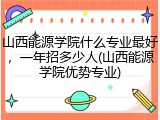 山西能源学院什么专业最好，一年招多少人(山西能源学院优势专业)