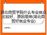 湖北商贸学院什么专业就业比较好，原因是啥(湖北商贸好就业专业)