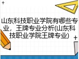 山东科技职业学院有哪些专业，王牌专业分析(山东科技职业学院王牌专业)