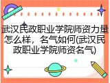 武汉民政职业学院师资力量怎么样，名气如何(武汉民政职业学院师资名气)