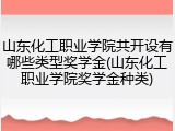 山东化工职业学院共开设有哪些类型奖学金(山东化工职业学院奖学金种类)