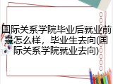 国际关系学院毕业后就业前景怎么样，毕业生去向(国际关系学院就业去向)