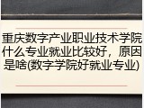 重庆数字产业职业技术学院什么专业就业比较好，原因是啥(数字学院好就业专业)