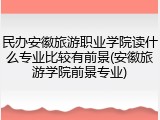 民办安徽旅游职业学院读什么专业比较有前景(安徽旅游学院前景专业)