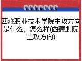 西藏职业技术学院主攻方向是什么，怎么样(西藏职院主攻方向)