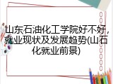 山东石油化工学院好不好，就业现状及发展趋势(山石化就业前景)