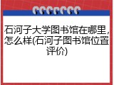 石河子大学图书馆在哪里，怎么样(石河子图书馆位置评价)