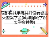 成都锦城学院共开设有哪些类型奖学金(成都锦城学院奖学金种类)