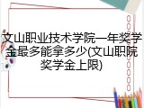文山职业技术学院一年奖学金最多能拿多少(文山职院奖学金上限)