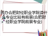 民办合肥财经职业学院读什么专业比较有前景(合肥财经职业学院前景专业)