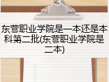 东营职业学院是一本还是本科第二批(东营职业学院是二本)
