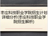 枣庄科技职业学院招生计划详细分析(枣庄科技职业学院招生解析)