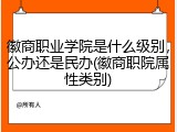 徽商职业学院是什么级别，公办还是民办(徽商职院属性类别)
