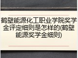 鹤壁能源化工职业学院奖学金评定细则是怎样的(鹤壁能源奖学金细则)