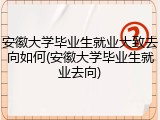 安徽大学毕业生就业大致去向如何(安徽大学毕业生就业去向)
