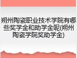 朔州陶瓷职业技术学院有哪些奖学金和助学金呢(朔州陶瓷学院奖助学金)