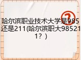 哈尔滨职业技术大学是985还是211(哈尔滨职大985211？)