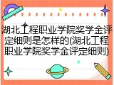 湖北工程职业学院奖学金评定细则是怎样的(湖北工程职业学院奖学金评定细则)