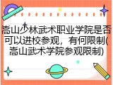 嵩山少林武术职业学院是否可以进校参观，有何限制(嵩山武术学院参观限制)