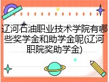 辽河石油职业技术学院有哪些奖学金和助学金呢(辽河职院奖助学金)