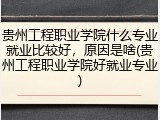 贵州工程职业学院什么专业就业比较好，原因是啥(贵州工程职业学院好就业专业)