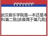 武汉音乐学院是一本还是本科第二批(武音属于第几批)