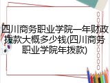 四川商务职业学院一年财政拨款大概多少钱(四川商务职业学院年拨款)