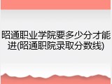 昭通职业学院要多少分才能进(昭通职院录取分数线)