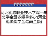 河北能源职业技术学院一年奖学金最多能拿多少(河北能源奖学金最高金额)